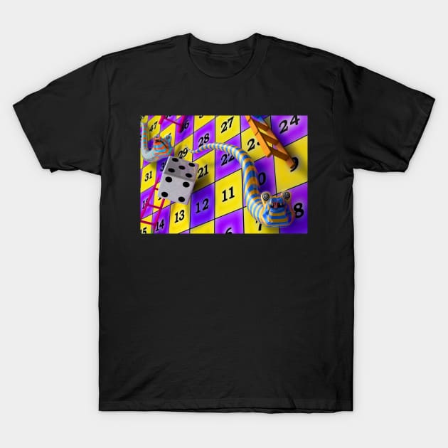 snakes and ladders T-Shirt by Kfirwz